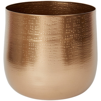 Action Gouden bloempot aanbieding