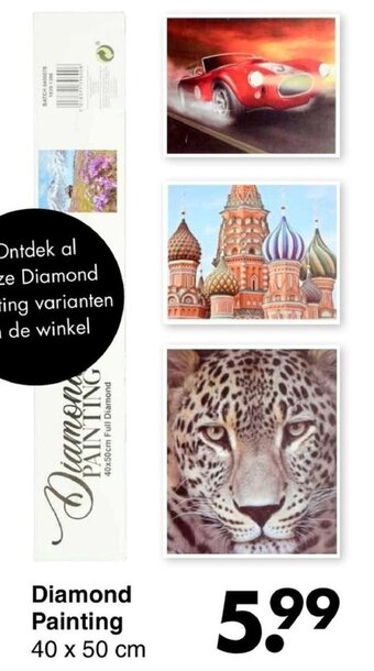 Wibra Diamond painting 40 x 50cm aanbieding