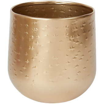 Action Gouden bloempot aanbieding