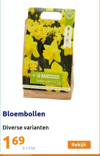 Action Bloembollen aanbieding