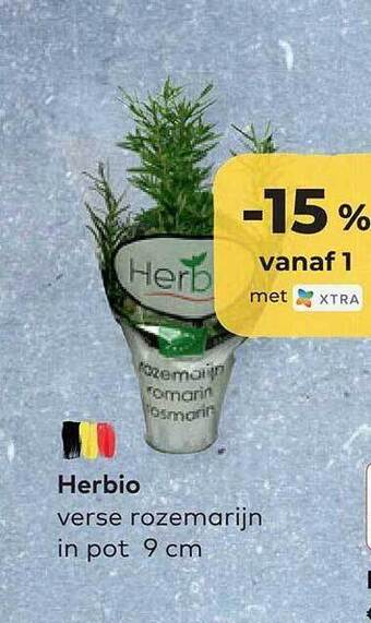 Bio Planet Herbio verse rozemarijn in pot 9 cm aanbieding