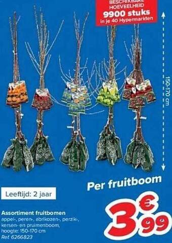 Hyper Carrefour Assortiment fruitbomen aanbieding
