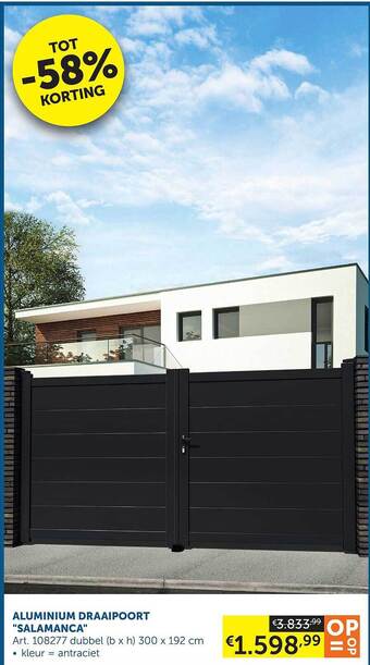 Zelfbouwmarkt Aluminium draaipoort aanbieding