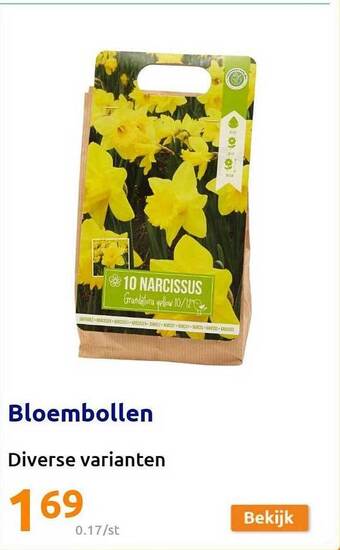 Action Bloembollen aanbieding