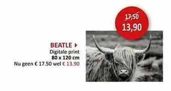 Weba Beatle digitale print aanbieding