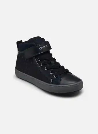 Torfs Geox aanbieding