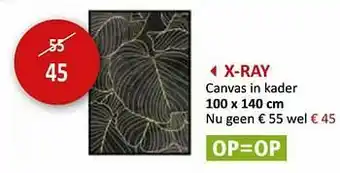 X-ray canvas in kader