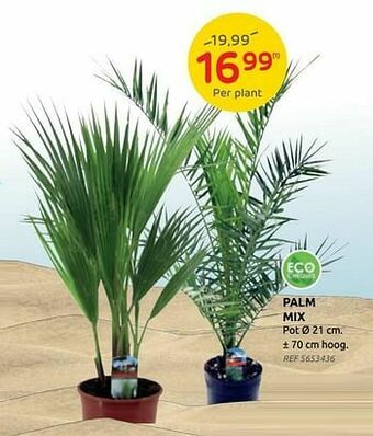 Brico Palm mix aanbieding