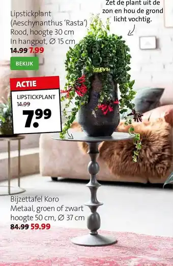 Intratuin Lipstickplant, bijzettafel koro aanbieding