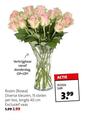 Rozen