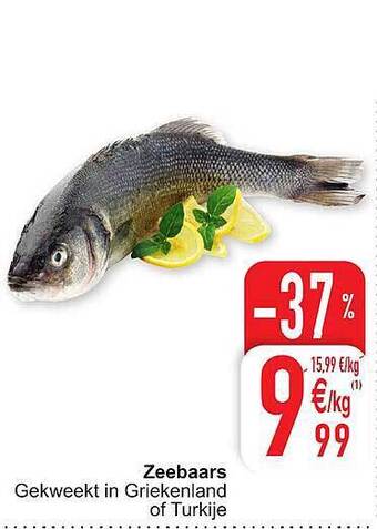 Cora Zeebaars aanbieding