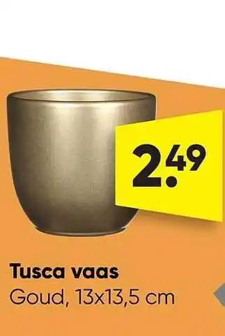 Big Bazar Tusca vaas aanbieding