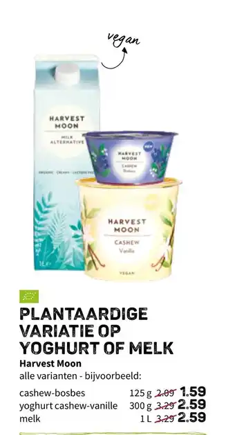 Plantaardige variatie op yoghurt of melk