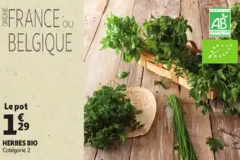 Auchan Herbes Bio aanbieding