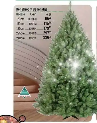 Happyland Kerstboom belleridge aanbieding