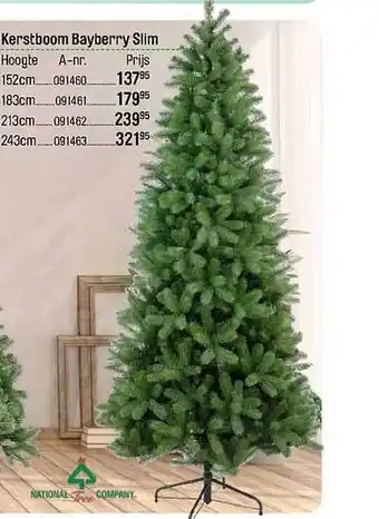 Kerstboom bayberry slim