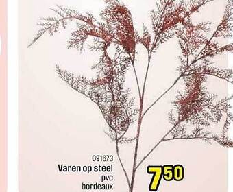 Happyland Varen op steel aanbieding
