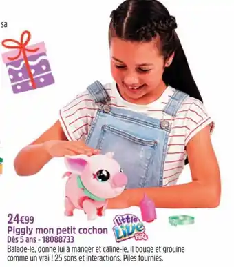 Piggly mon petit cochon - 18088733