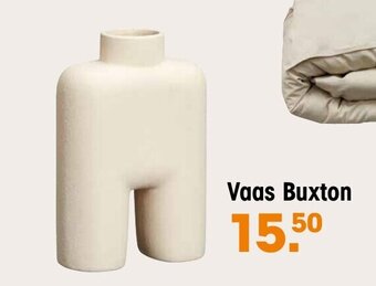 Kwantum Vaas Buxton aanbieding