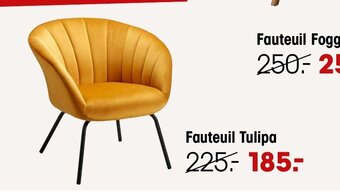 Kwantum Fauteuil Tulipa aanbieding