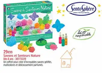 Savons et senteurs nature 30773229