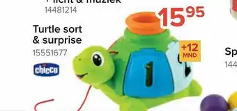 Turtle sort & surprise