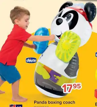 Panda boxing coach