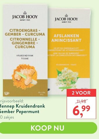 Holland & Barrett Jacob Hooy Hennep Kruidendrank , Gember Papermunt 20 Zakjes aanbieding