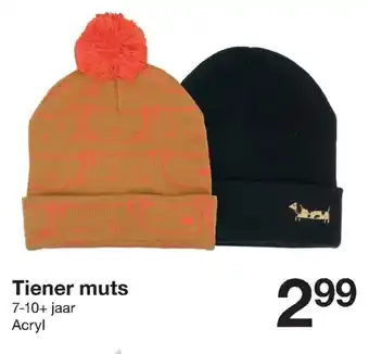 Zeeman Tiener muts 7-10+ jaar aanbieding