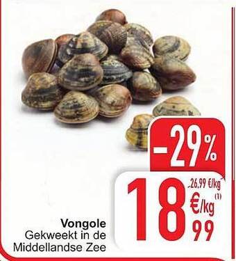 Cora Vongole aanbieding