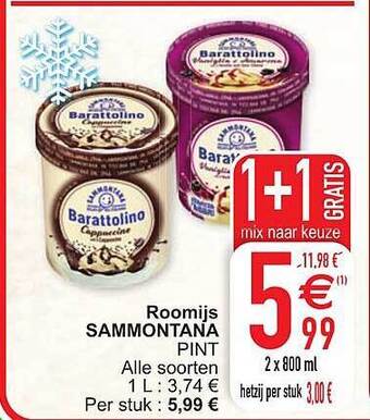 Cora Roomijs sammontana aanbieding