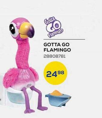 Gotta go flamingo