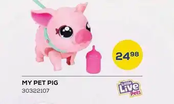 My pet pig