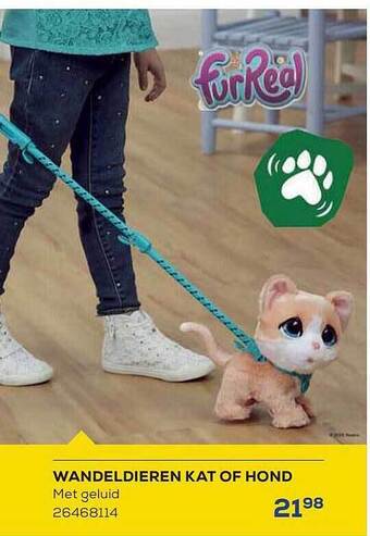 Wandeldieren kat of hond