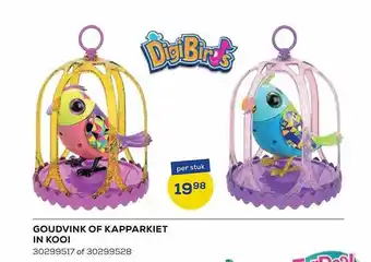 Supra Bazar Goudvink of kapparkiet in kooi aanbieding