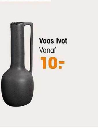 Kwantum Vaas ivot aanbieding