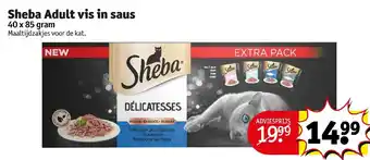 Kruidvat Sheba adult vis in saus 40x85 gram aanbieding