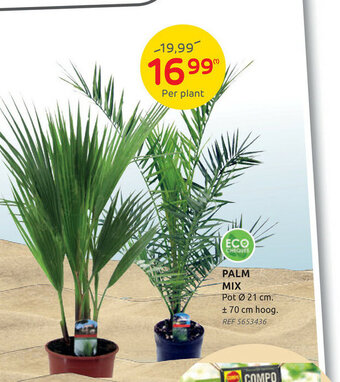 Brico Palm mix aanbieding