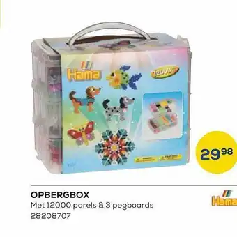 Supra Bazar Opbergbox aanbieding