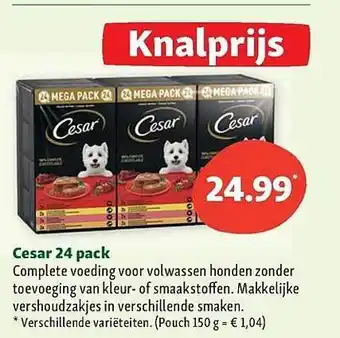 Maxi Zoo Cesar 24 pack aanbieding