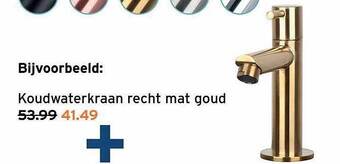 GAMMA Koudwaterkraan recht mat goud aanbieding