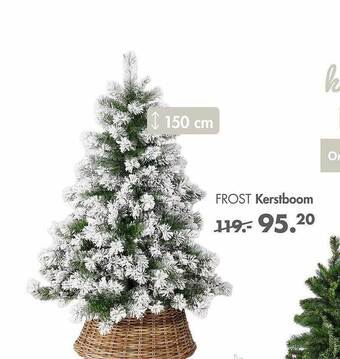Frost kerstboom