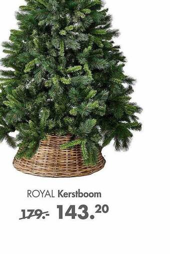 Casa Royal kerstboom aanbieding