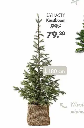 Casa Dynasty kerstboom aanbieding