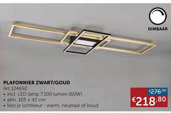 Zelfbouwmarkt Plafonnier zwart-goud aanbieding