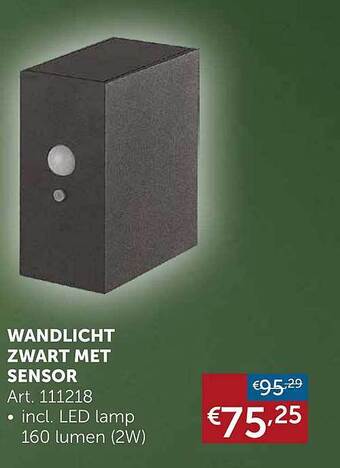 Zelfbouwmarkt Wandlicht zwart met sensor 160 lumen aanbieding