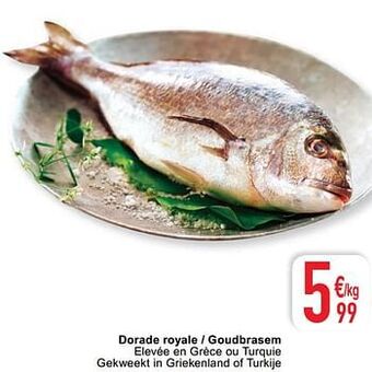 Dorade royale - goudbrasem