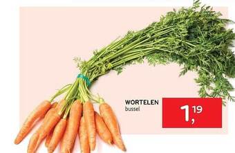 Alvo Wortelen bussel aanbieding