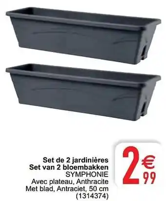 Set de 2 jardinières set van 2 bloembakken symphonie 50cm