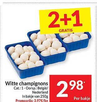 Witte champignons